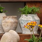 Urn Planters