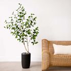 Faux Potted Birch Tree