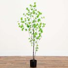 Faux Potted Minimalist Enkianthus Tree