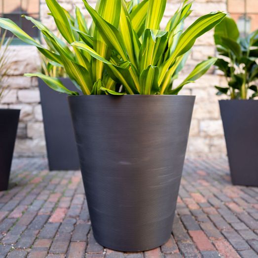 NewMade LA Circle Hanging Planter | West Elm