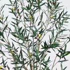Faux Potted Greco Olive Tree