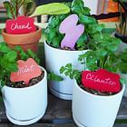 Scout Regalia Garden ID Tags