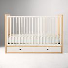 Ziggy Convertible Storage Crib