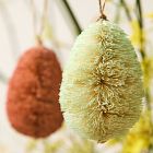 Bottlebrush Egg Ornaments (Set of 12)