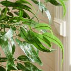 Faux Long Leaf Eucalyptus Potted Plant