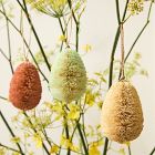 Bottlebrush Egg Ornaments (Set of 12)