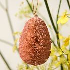 Bottlebrush Egg Ornaments (Set of 12)