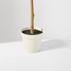 Faux Long Leaf Eucalyptus Potted Plant