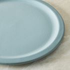 Hale Stoneware Dinner Plate Sets