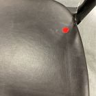 Open Box: Scooped Ash Wood Leather Dining Armchair - Sonoma Black