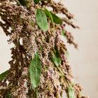 Faux Amaranthus Bundle