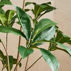 Faux Frangipani Tree