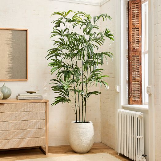 Faux Potted Bamboo Palm Tree, 7', Green, West Elm