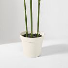 Faux Potted Bamboo Palm Tree (7')