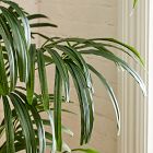 Faux Potted Bamboo Palm Tree (7')
