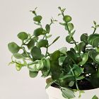 Faux Eucalyptus Potted Plant