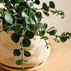 Faux Eucalyptus Potted Plant