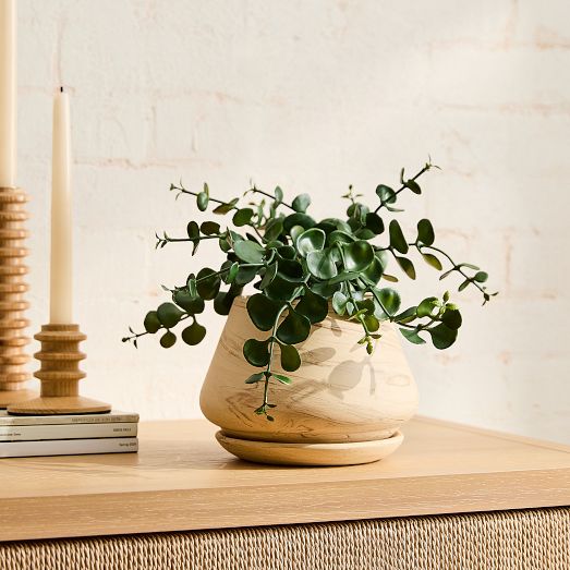 Eucalyptus Plant, Potted, Faux Green, 11", West Elm