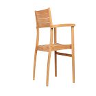 Orelien Teak Outdoor Dining Chairs (Set of 2)