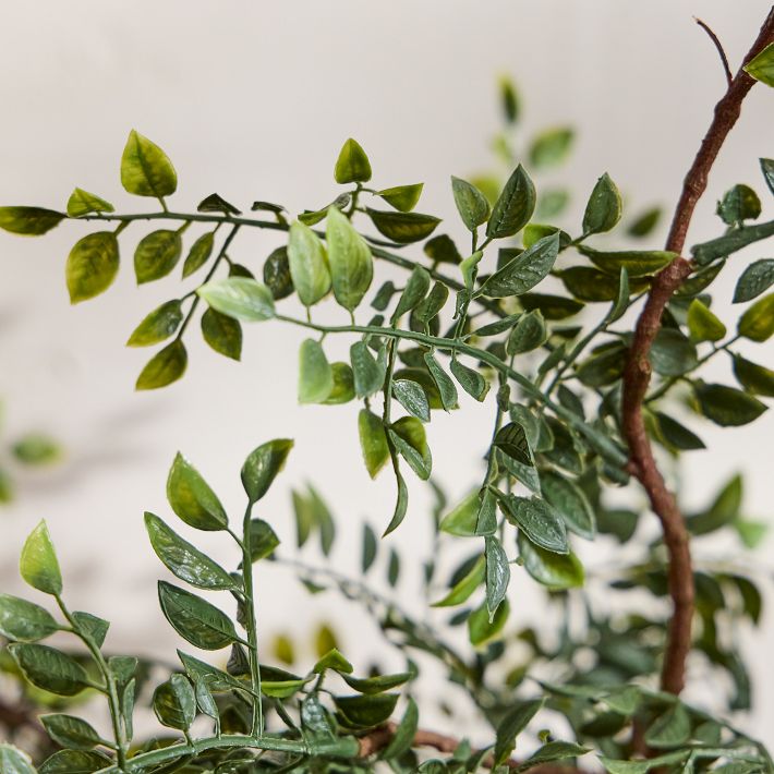 Faux Bonsai Tree Decor, 27" Tall | West Elm