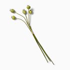 Faux Poppy Pods Stem Bundle