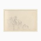 Sketched Horses Framed Wall Art