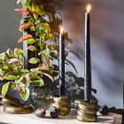 Get the Look: Halloween Snakes Decor