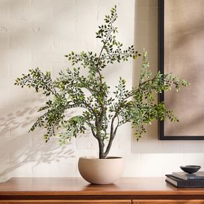Faux Bonsai Tree, Green, West Elm