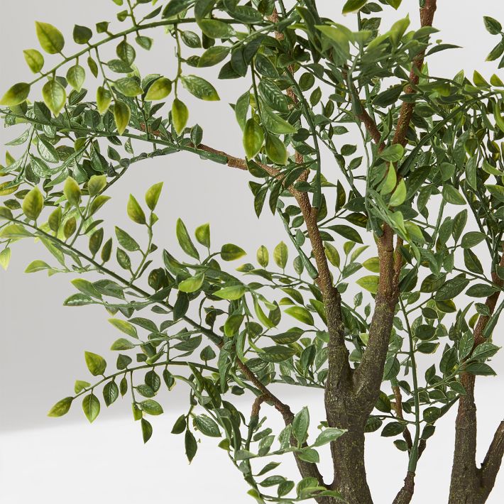 Faux Bonsai Tree, Green, West Elm