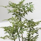 Faux Potted Phoenix Tree