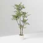 Faux Potted Phoenix Tree