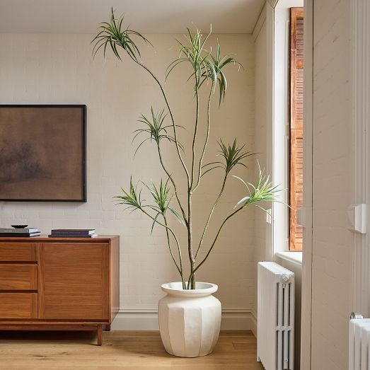 Faux Potted Dracaena Tree, Green, 7ft, West Elm