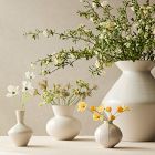 Clematis Pods Bundle