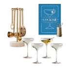 Build Your Own Martini Set