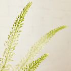 Faux Eremurus Stem Bundle