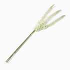 Faux Eremurus Stem Bundle