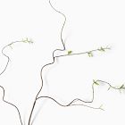 Faux Curvy Willow Branch