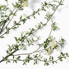 Faux White Blossom Bundle