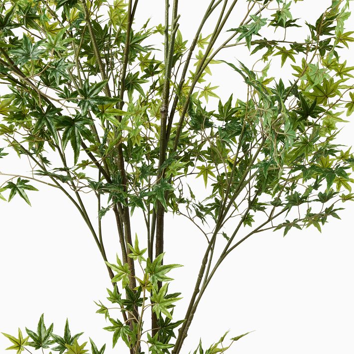 Faux Maple Potted Tree Decor | West Elm