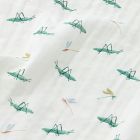 Little Bayou Swaddle Set