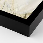 Botanical Shadows Wall Art by Fountain Grass Studios