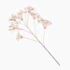 Faux Oversized Queen Anne's Lace Branch