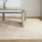 Reflected Emblem Performance Rug