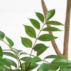 Faux Potted Minimalist Japanese Pieris Tree