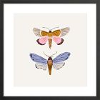 Moths Framed Wall Art by Sally Murphy Design