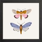 Moths Framed Wall Art by Sally Murphy Design