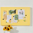 Mustard Made The Storyboard