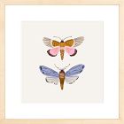 Moths Framed Wall Art by Sally Murphy Design