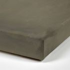 Oak Wall Art by Lauren Fuhr