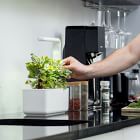 The Smart Garden LED Grow Set